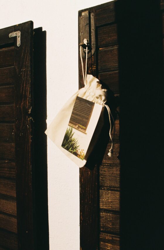 YLANG - YLANG - Image 2